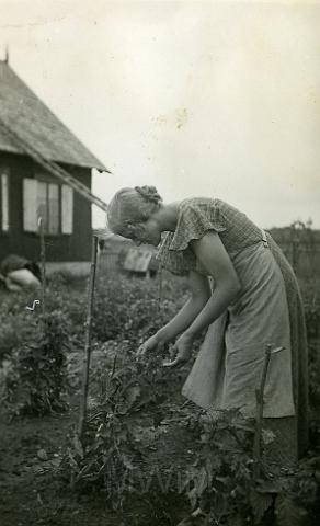 KKE 803.jpg - Jolanta Kossarska, 1937 r.